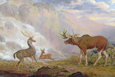 Het eland van de graaf van Orford uit Noorwegen, antilope uit Afrika en hert van Prince
